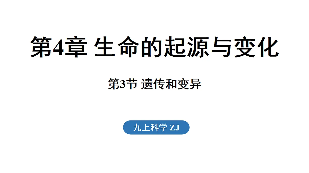 18482242第1页