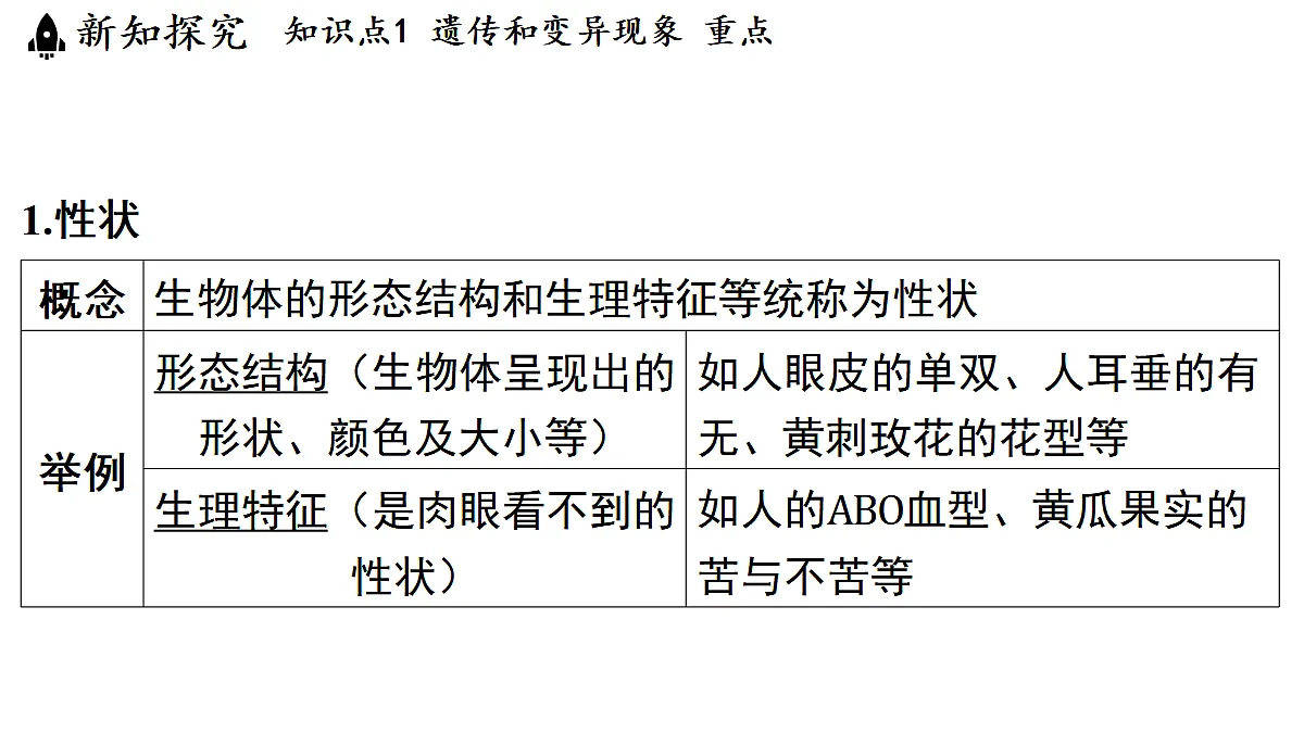 18482242第4页