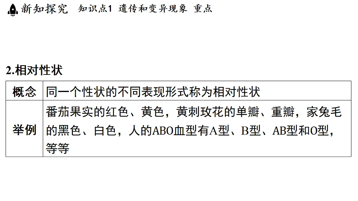 18482242第5页