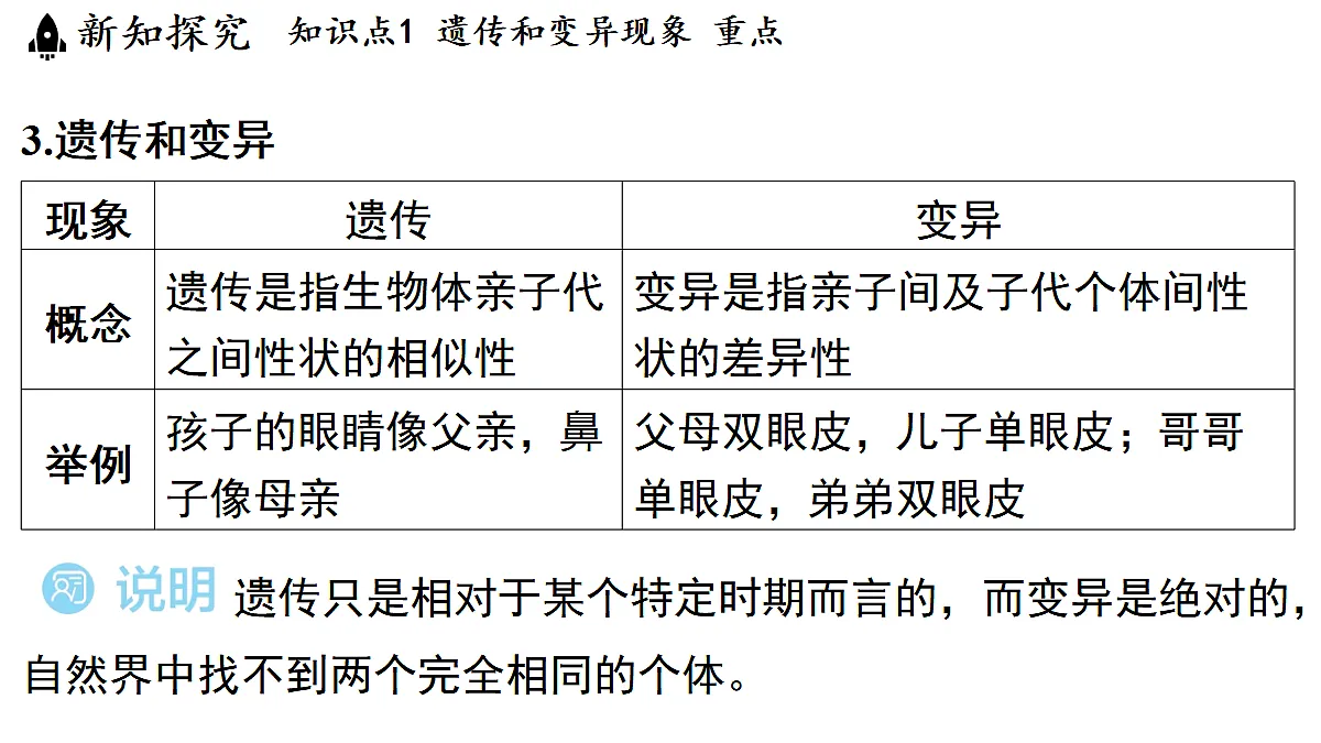 18482242第6页