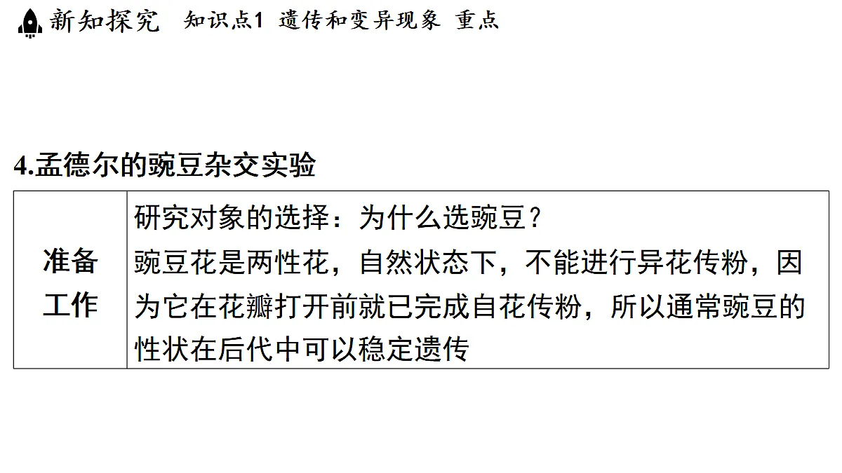 18482242第8页