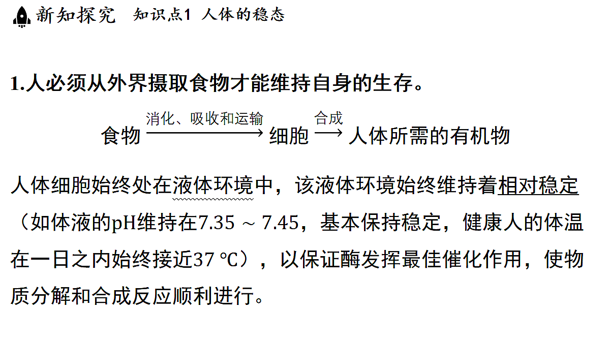18483160第4页