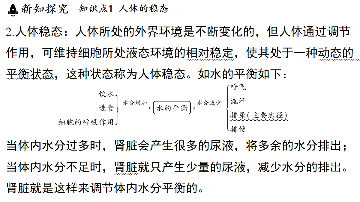 18483160第6页