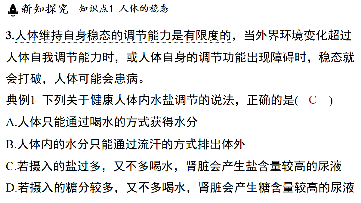 18483160第7页