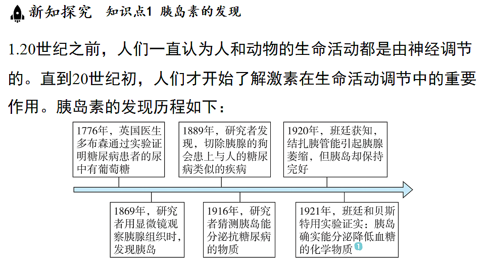 18483161第4页