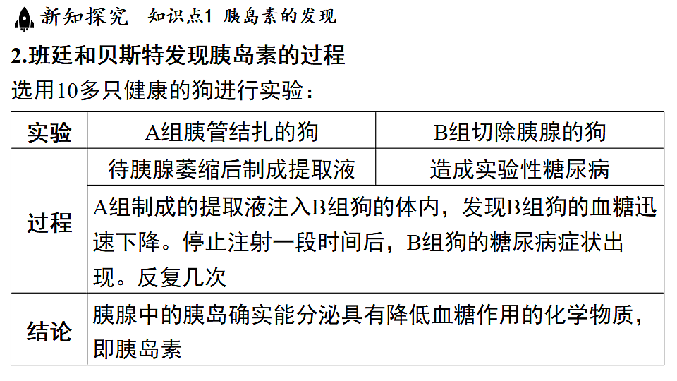 18483161第5页