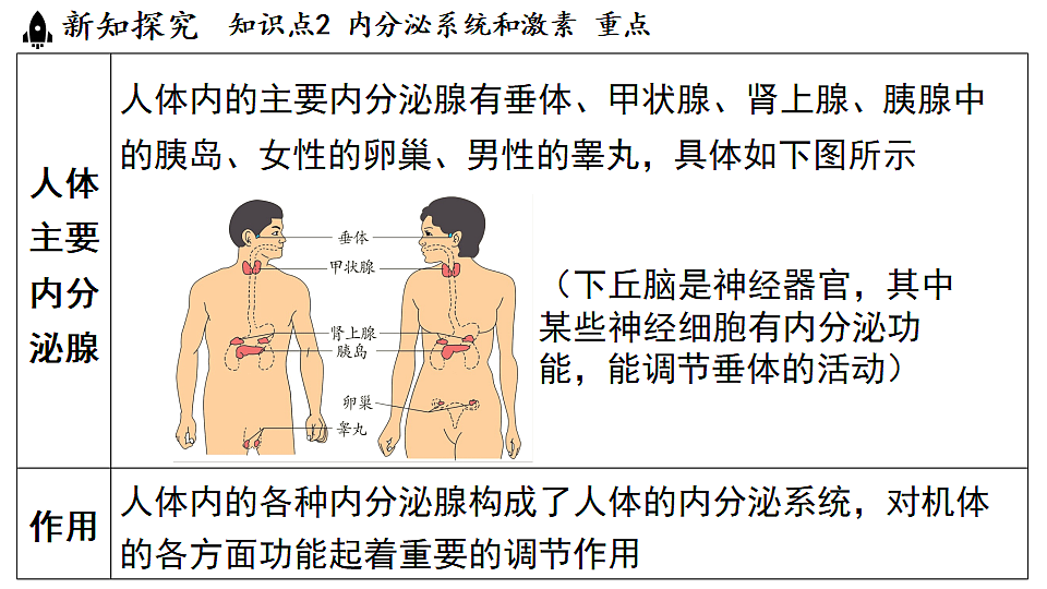 18483161第8页
