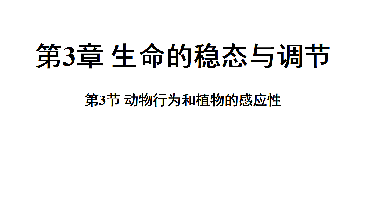 18483162第1页