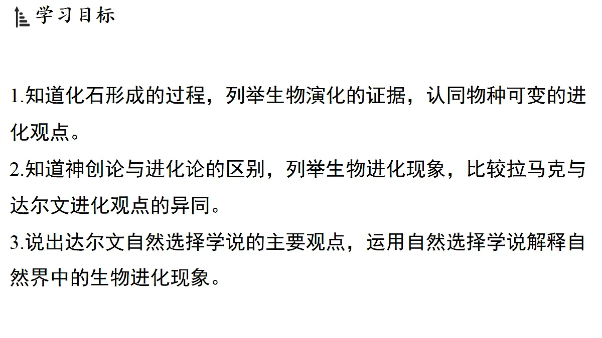 18483164第2页