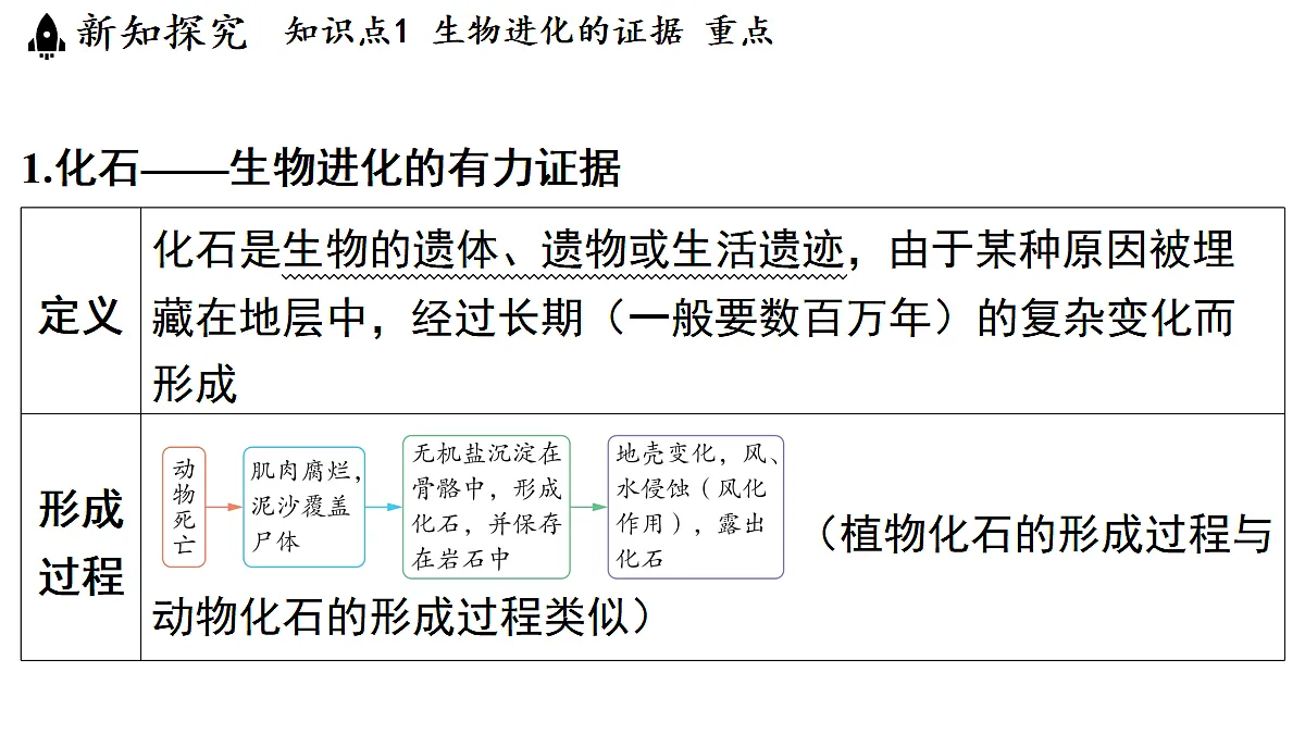 18483164第4页