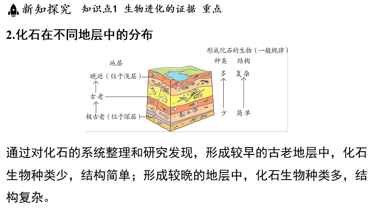 18483164第5页