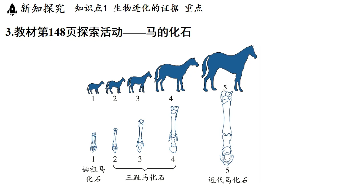 18483164第6页