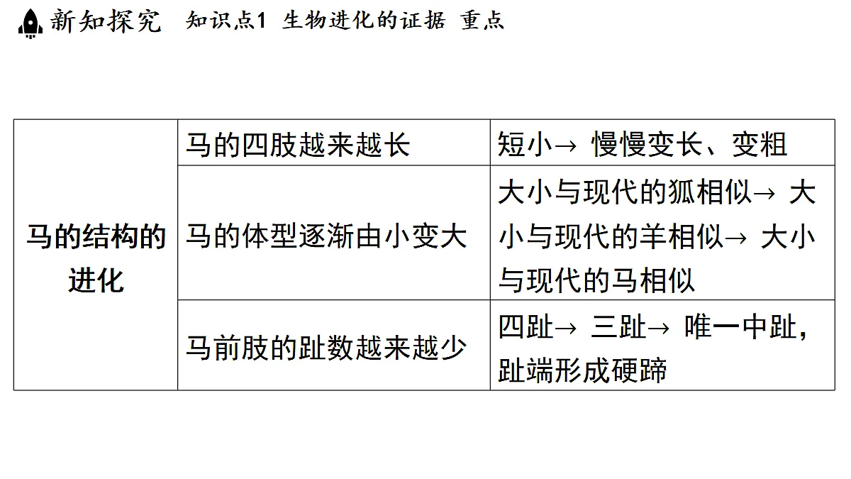 18483164第7页