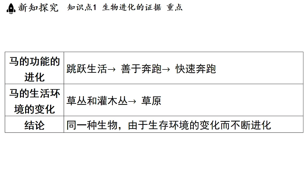 18483164第8页