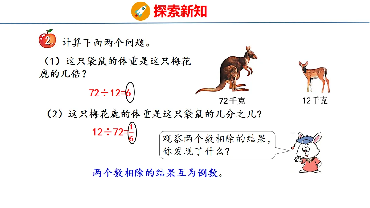 18484595第8页