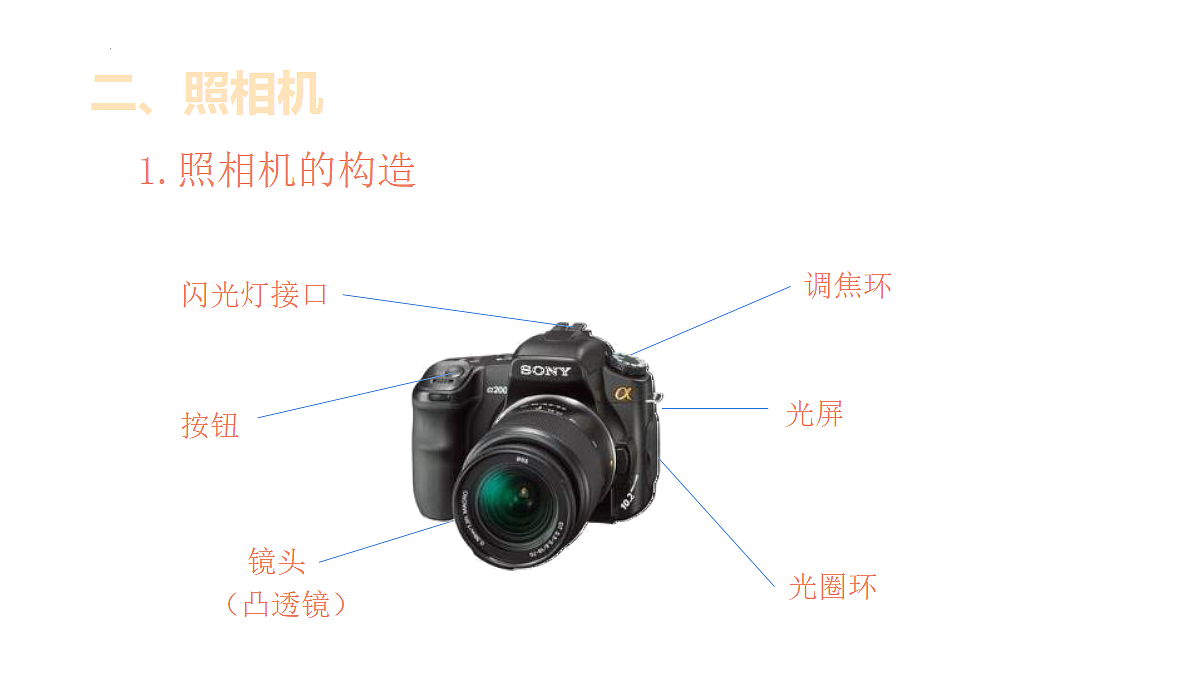 18484902第5页