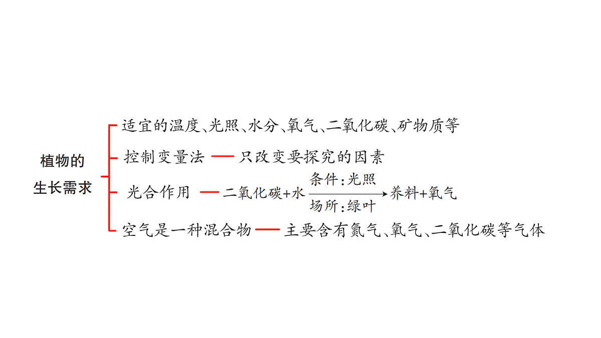18486281第4页