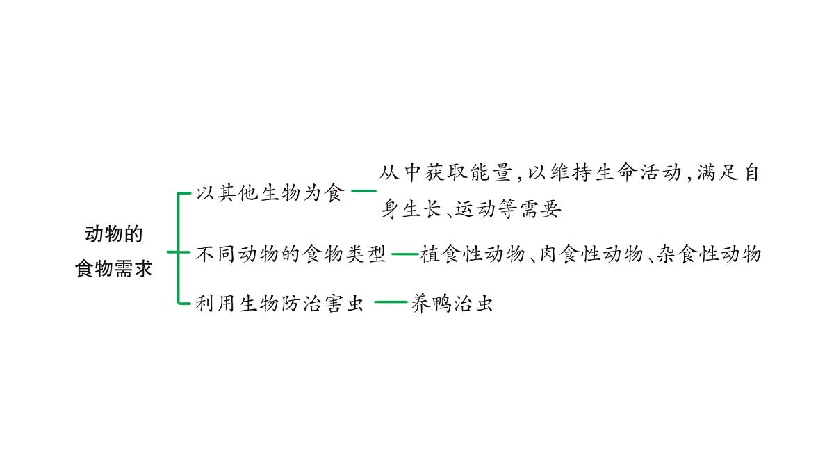 18486281第5页