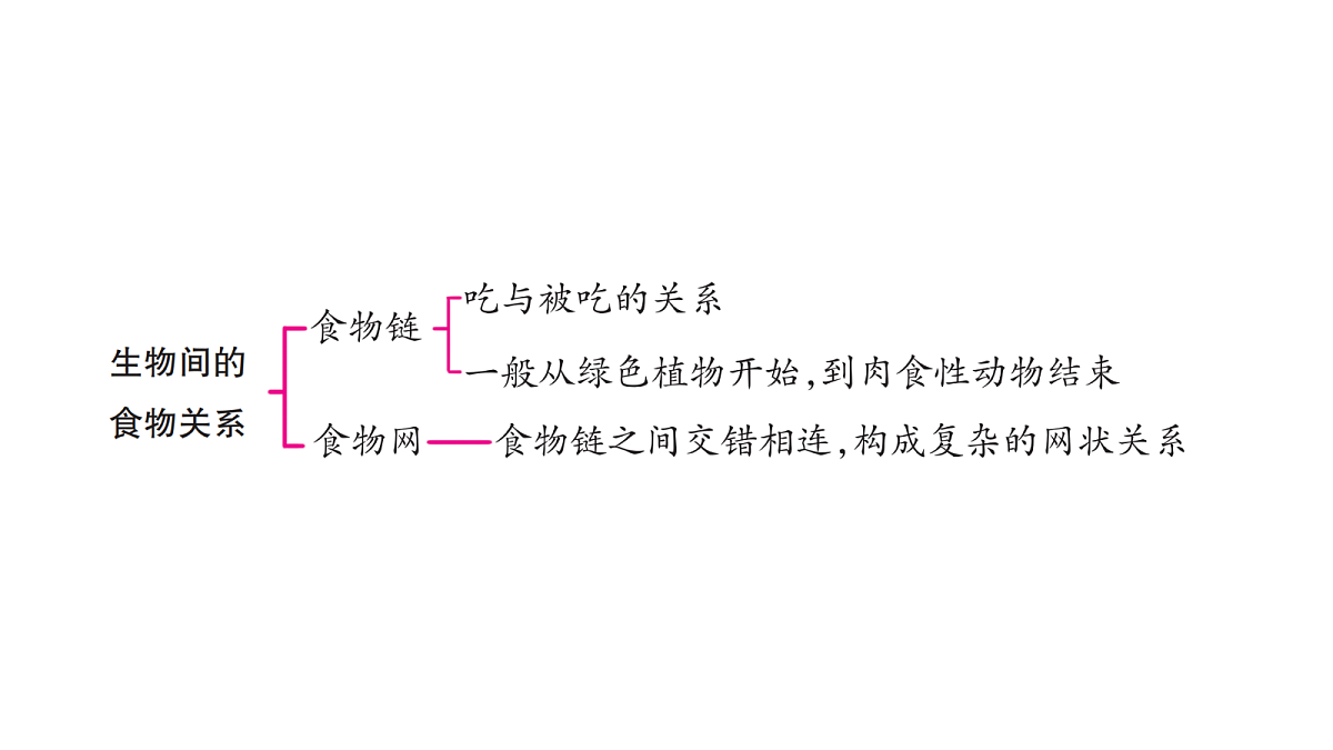 18486281第6页