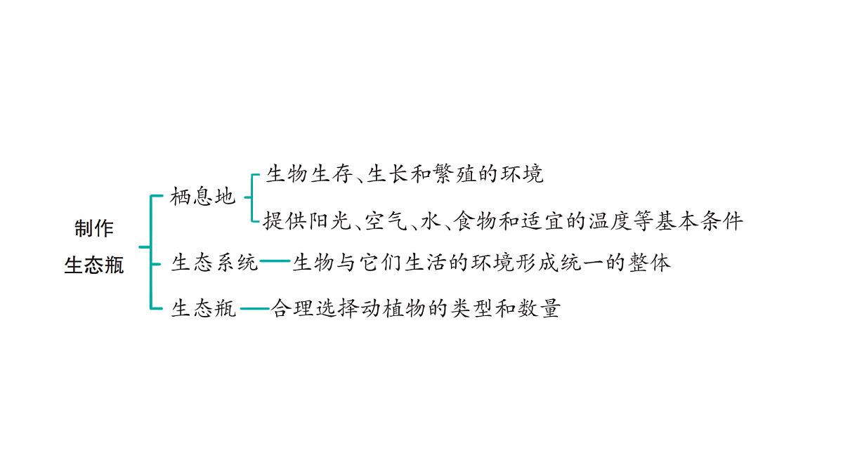 18486281第7页