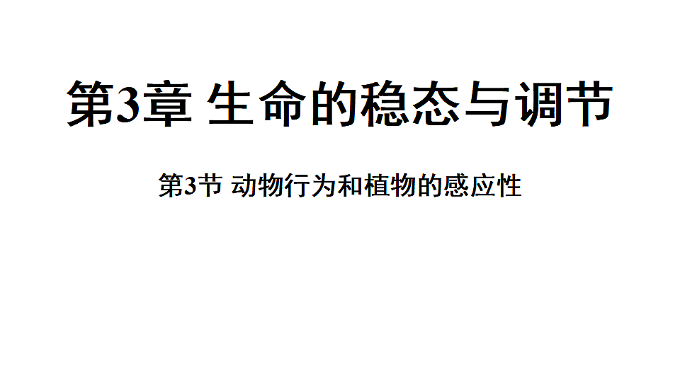 18489405第1页