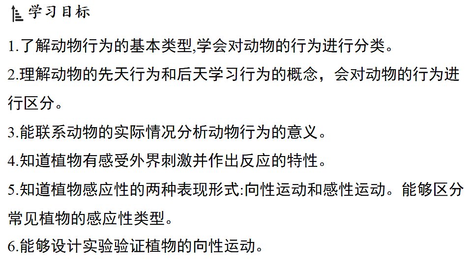18489405第2页