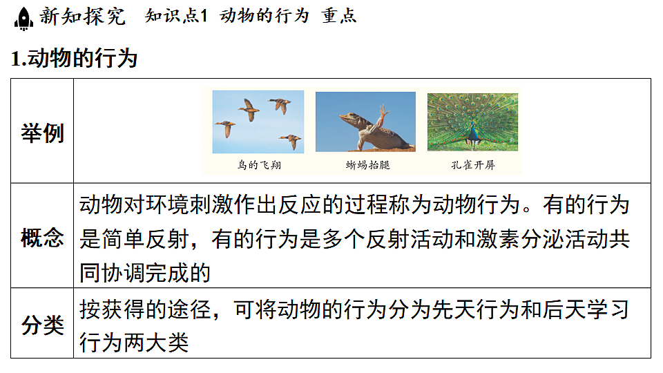 18489405第4页