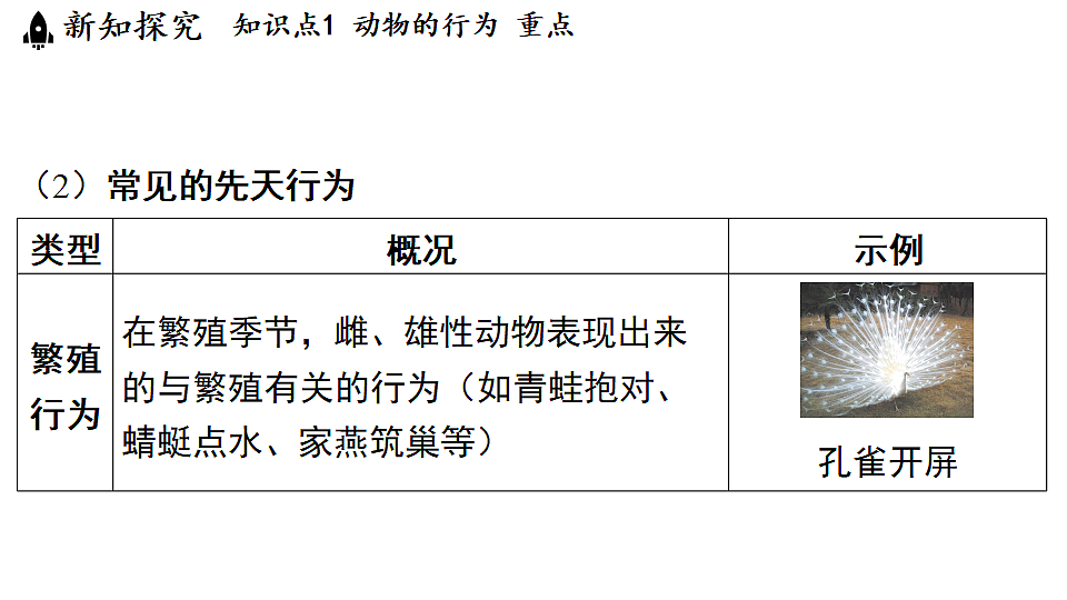 18489405第8页