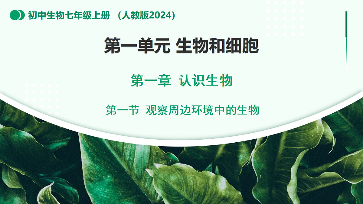1.1.1 观察周边环境中的生物 - 初中生物七年级上册 同步教学课件(人教版2024)第1页