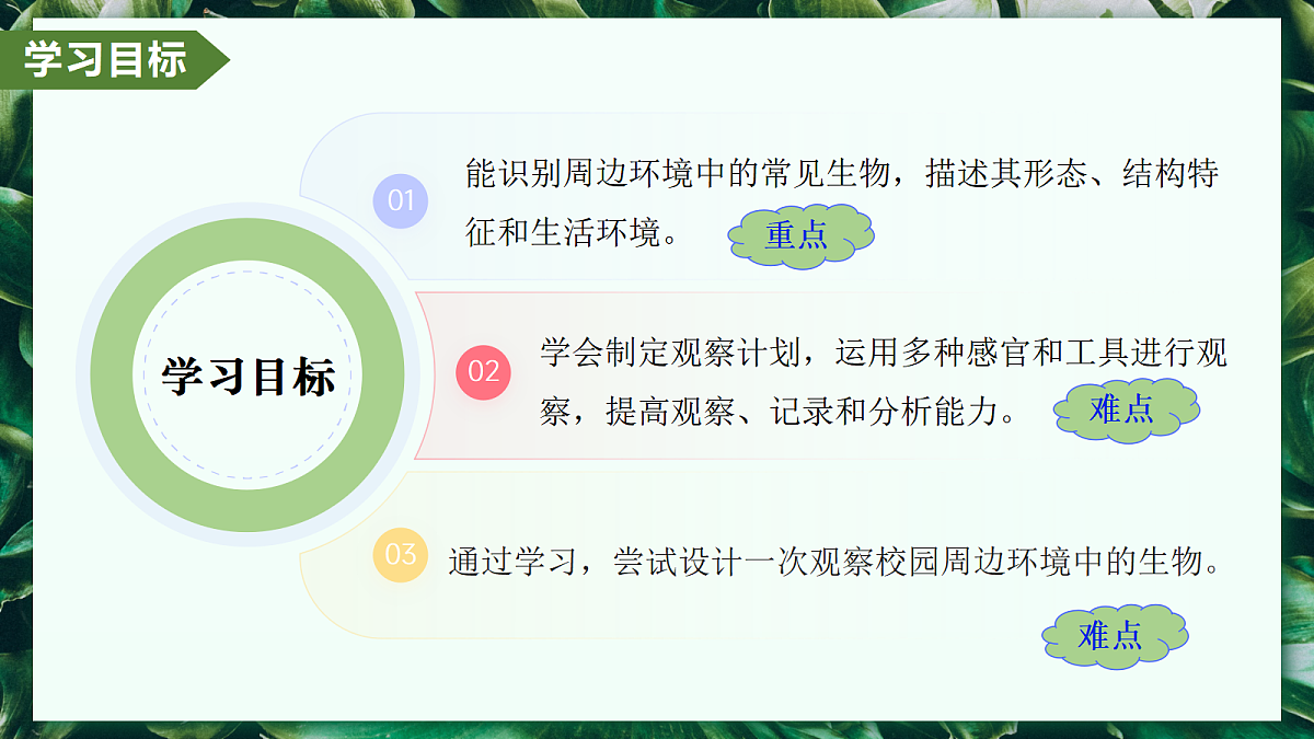 1.1.1 观察周边环境中的生物 - 初中生物七年级上册 同步教学课件(人教版2024)第2页