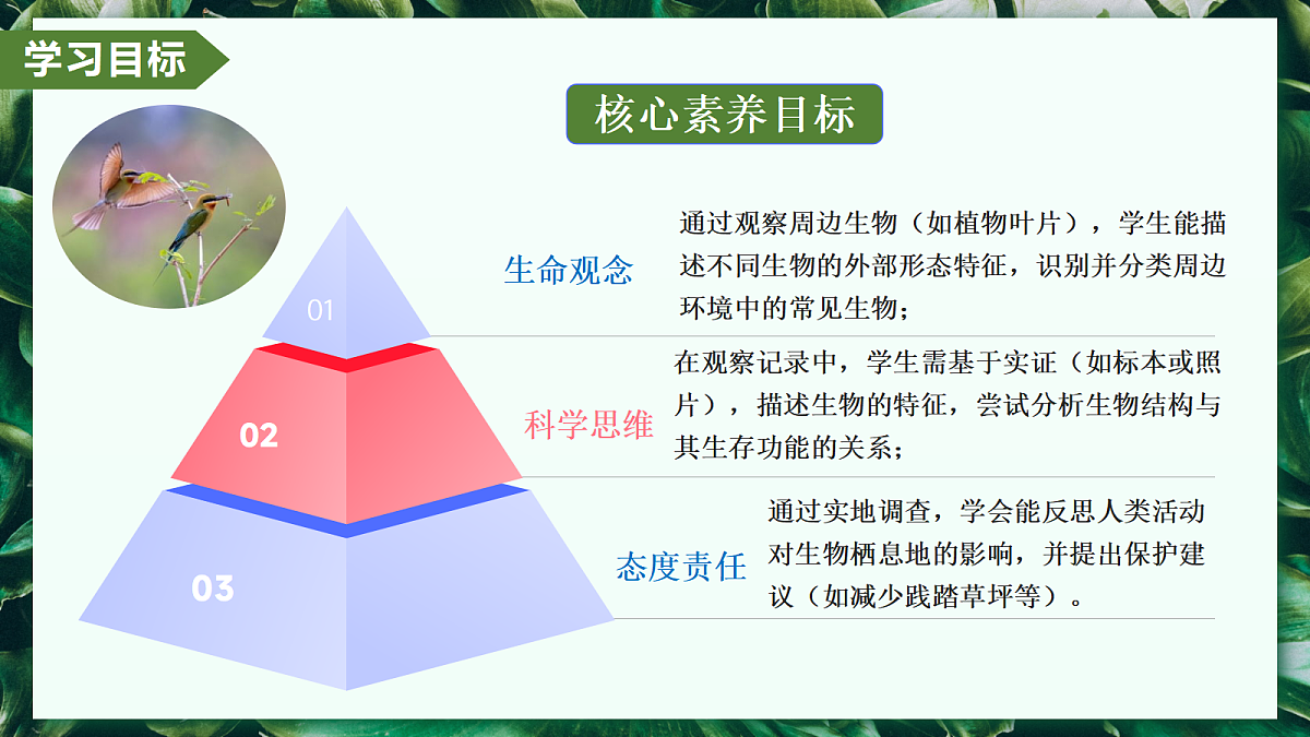 1.1.1 观察周边环境中的生物 - 初中生物七年级上册 同步教学课件(人教版2024)第3页