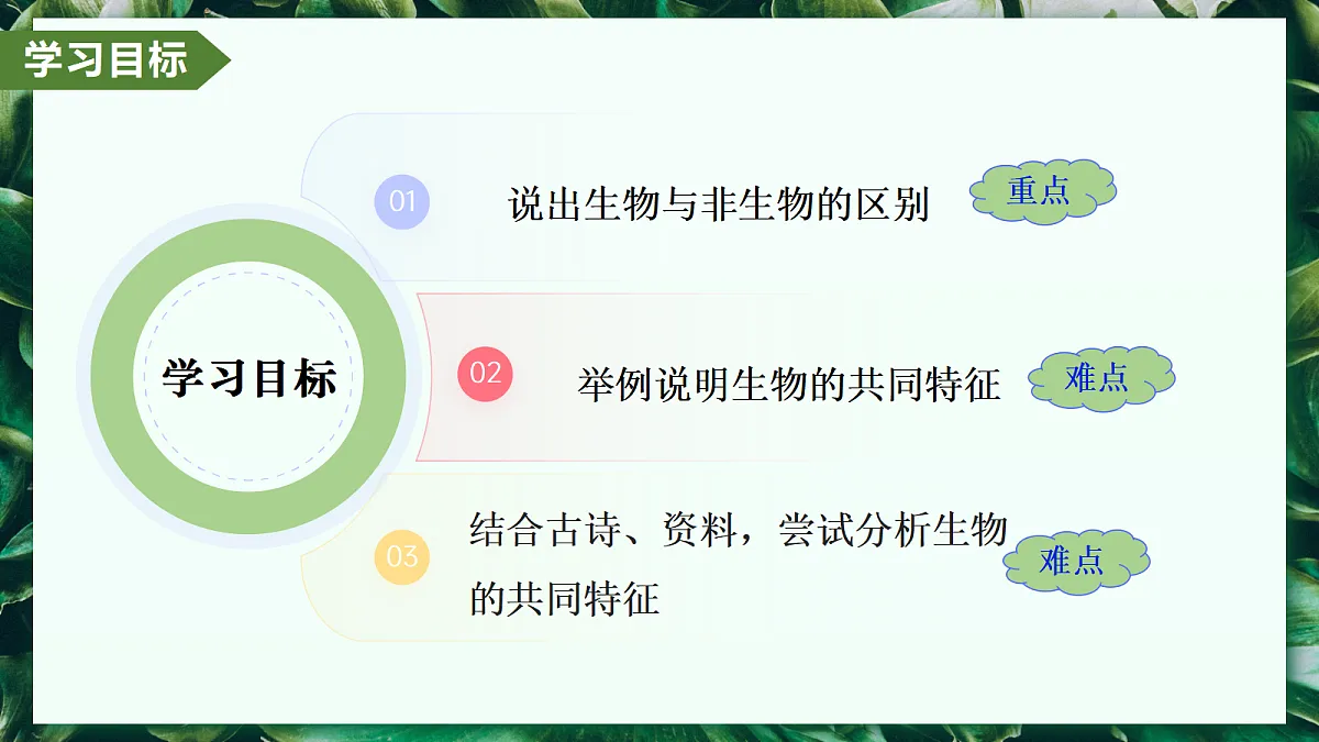 1.1.2 生物的特征 - 初中生物七年级上册 同步教学课件(人教版2024)第2页
