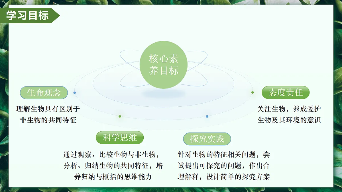 1.1.2 生物的特征 - 初中生物七年级上册 同步教学课件(人教版2024)第3页
