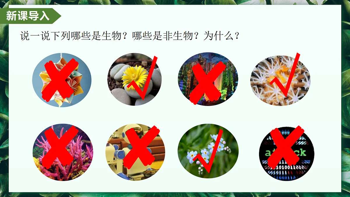 1.1.2 生物的特征 - 初中生物七年级上册 同步教学课件(人教版2024)第4页
