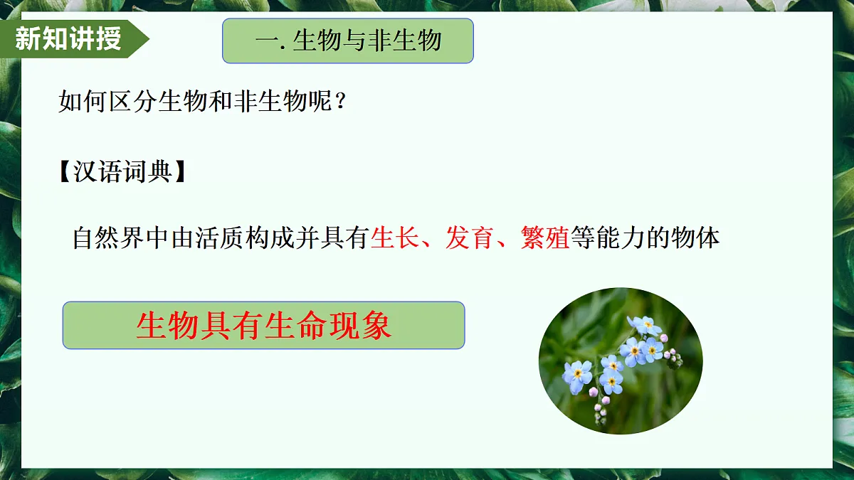 1.1.2 生物的特征 - 初中生物七年级上册 同步教学课件(人教版2024)第5页