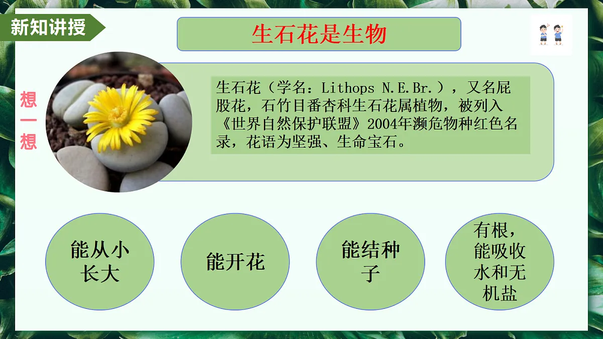 1.1.2 生物的特征 - 初中生物七年级上册 同步教学课件(人教版2024)第6页