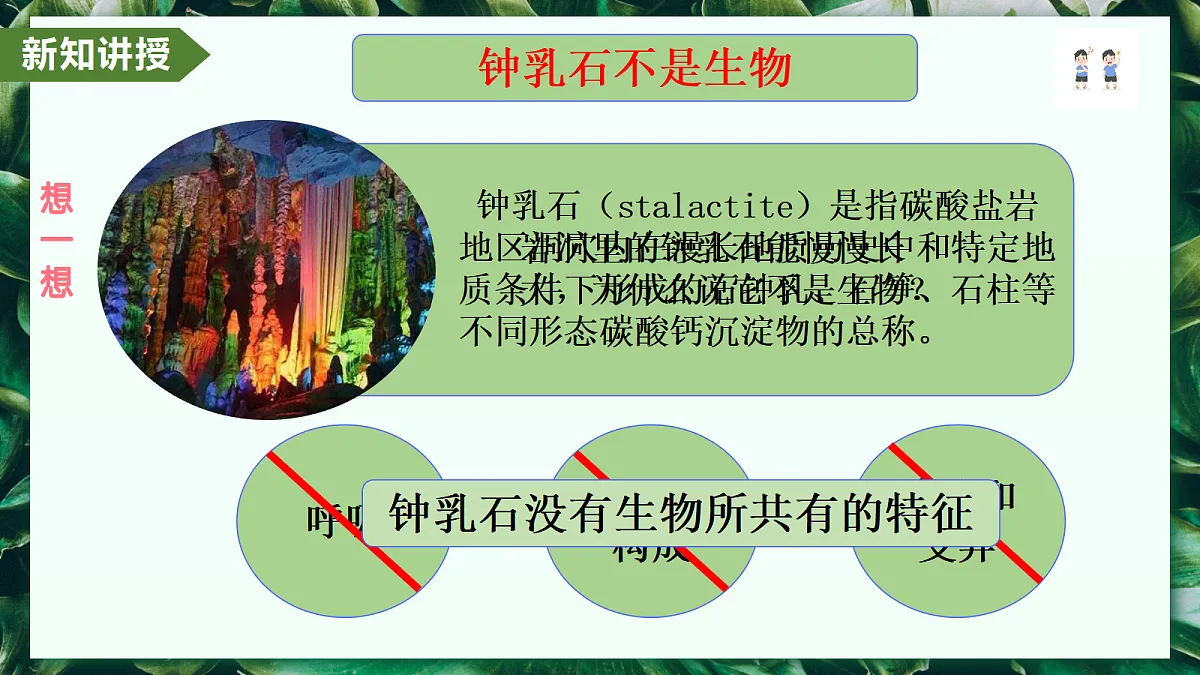 1.1.2 生物的特征 - 初中生物七年级上册 同步教学课件(人教版2024)第7页