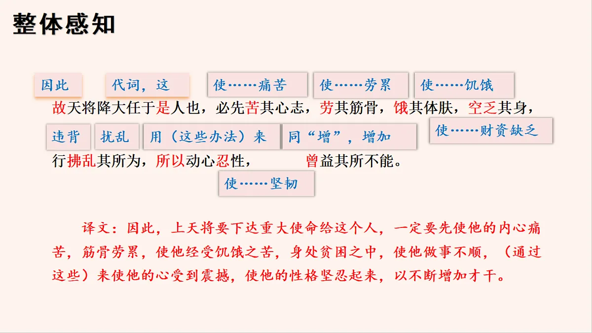 18493314第8页