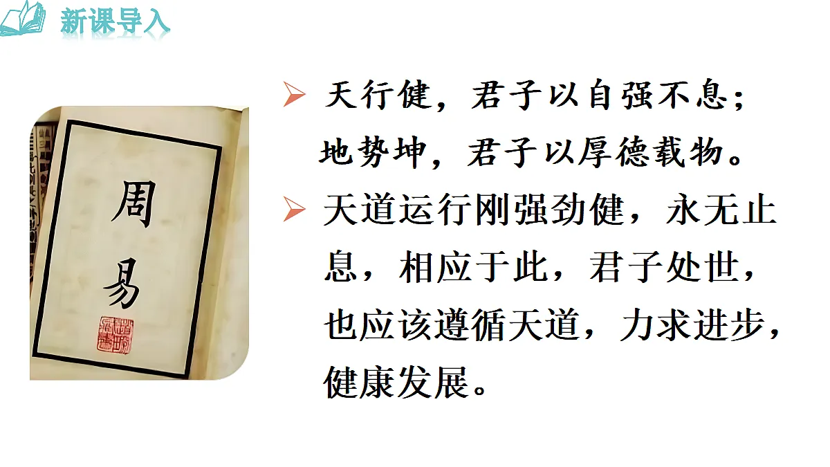 18493465第3页