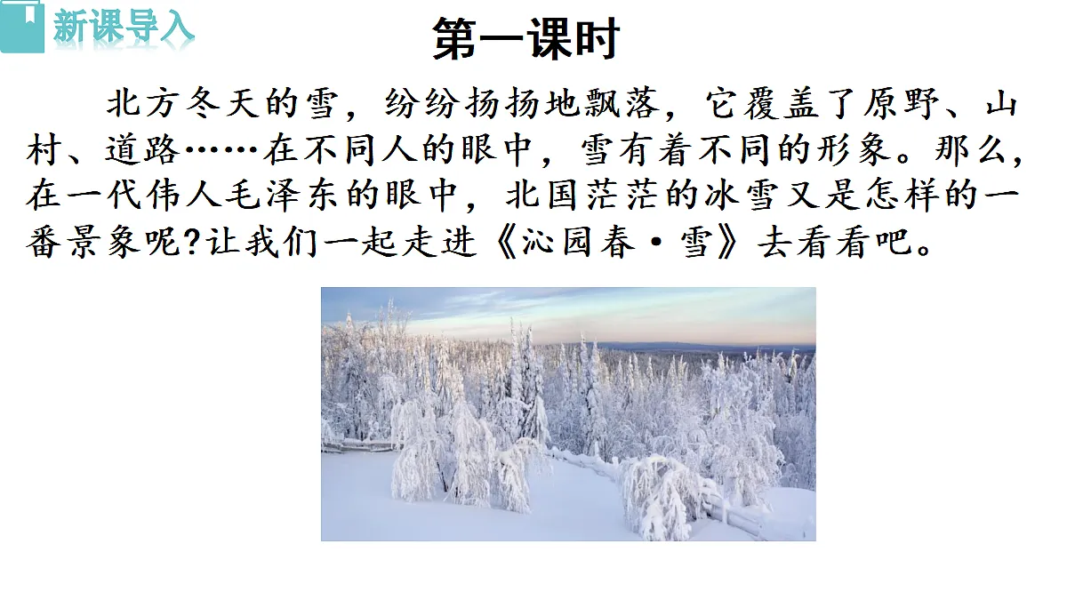 18493467第3页