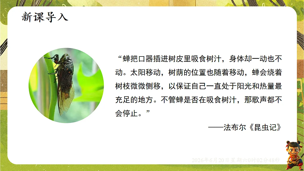 18493707第5页