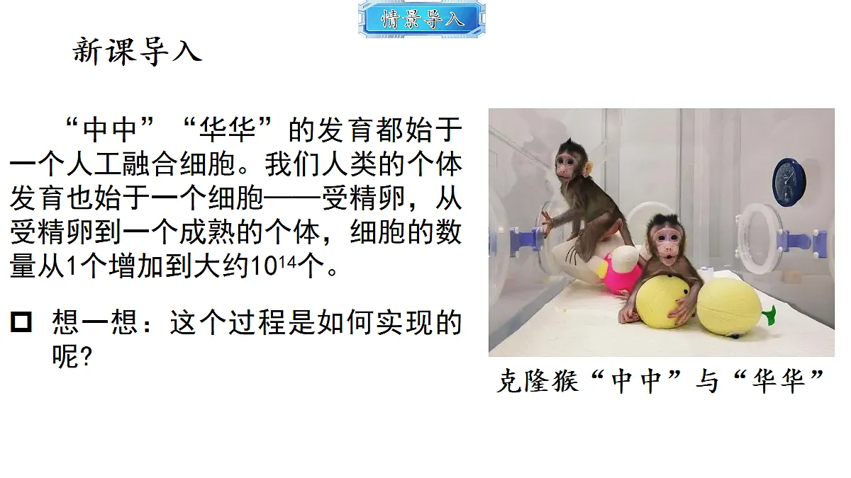 18493718第2页