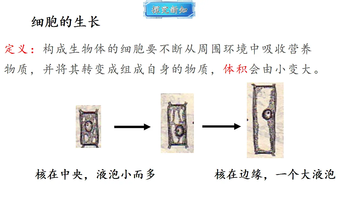 18493718第3页