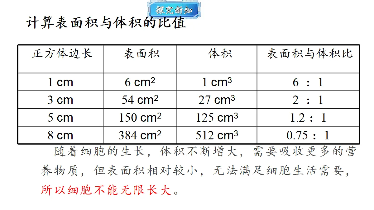 18493718第5页