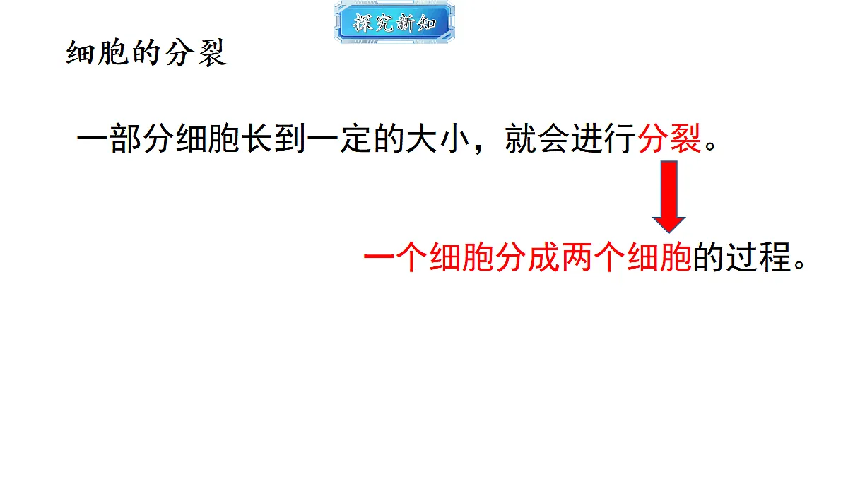 18493718第6页