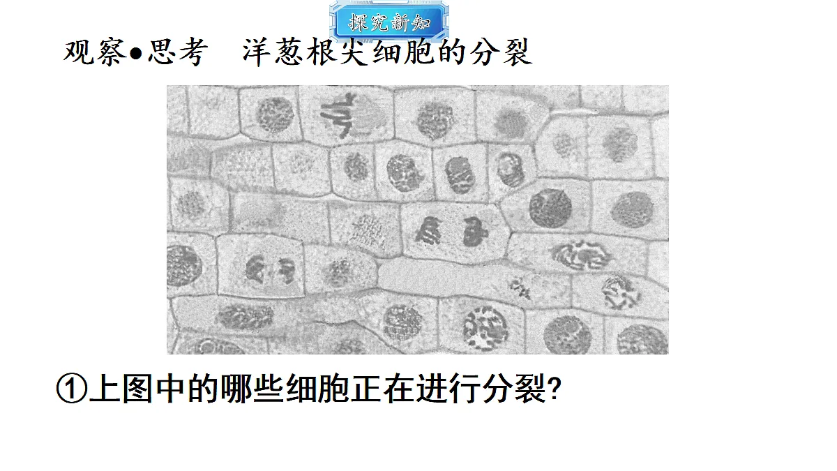 18493718第7页
