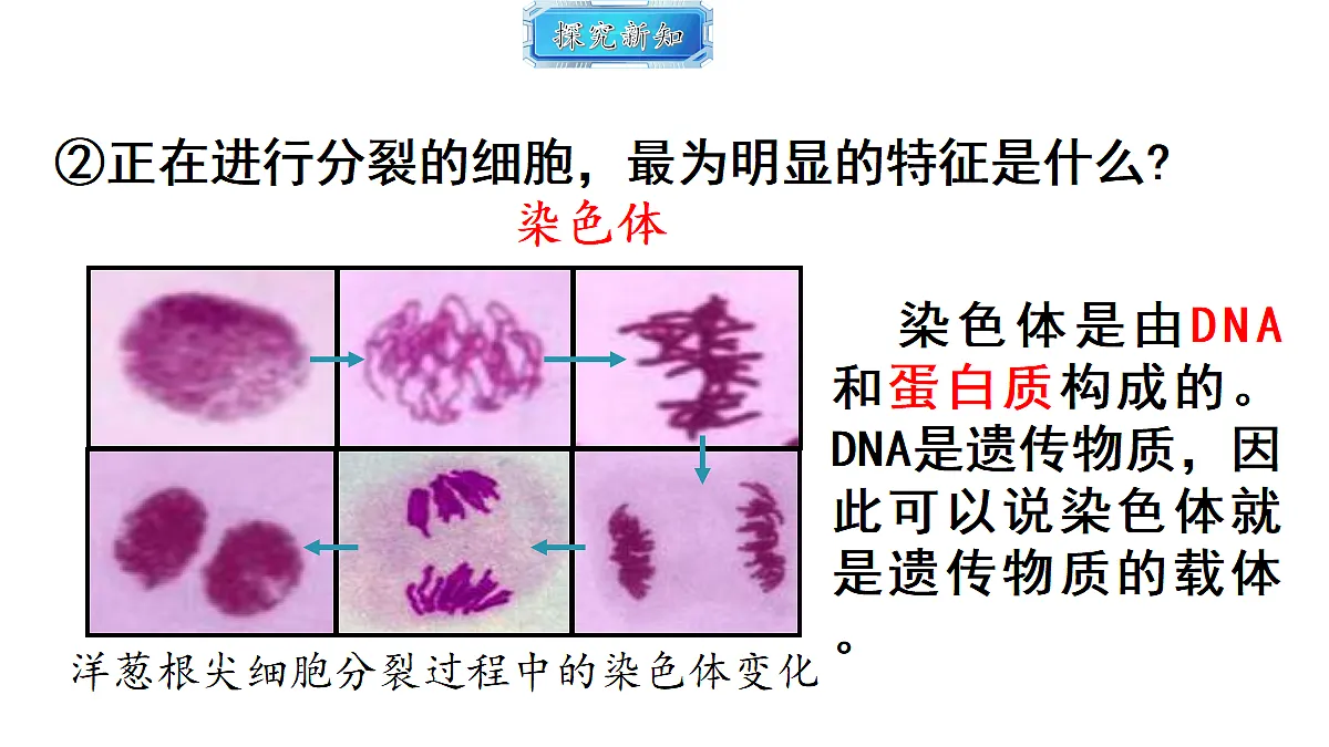 18493718第8页