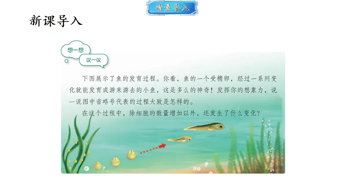18493720第2页