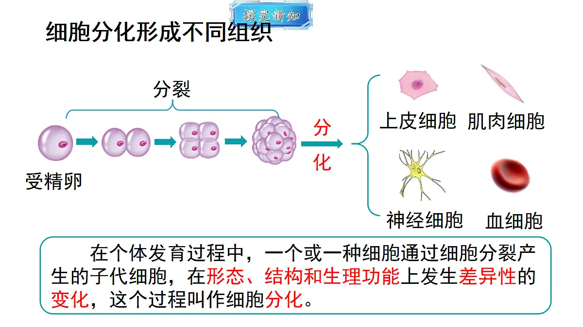 18493720第3页