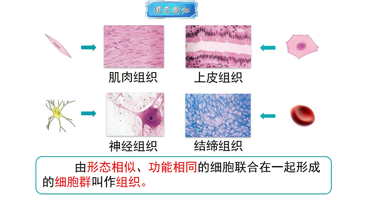 18493720第4页
